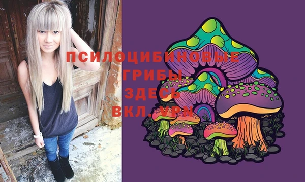 прущая мука Богданович