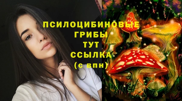 соль курить ск Бронницы